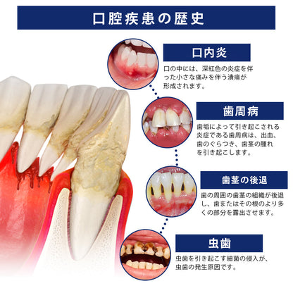 CleraNaure® BeeTakt 蜂毒デンタルトリートメントドロップ洗口液💧💧💧